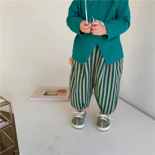 COOL ZEBRA